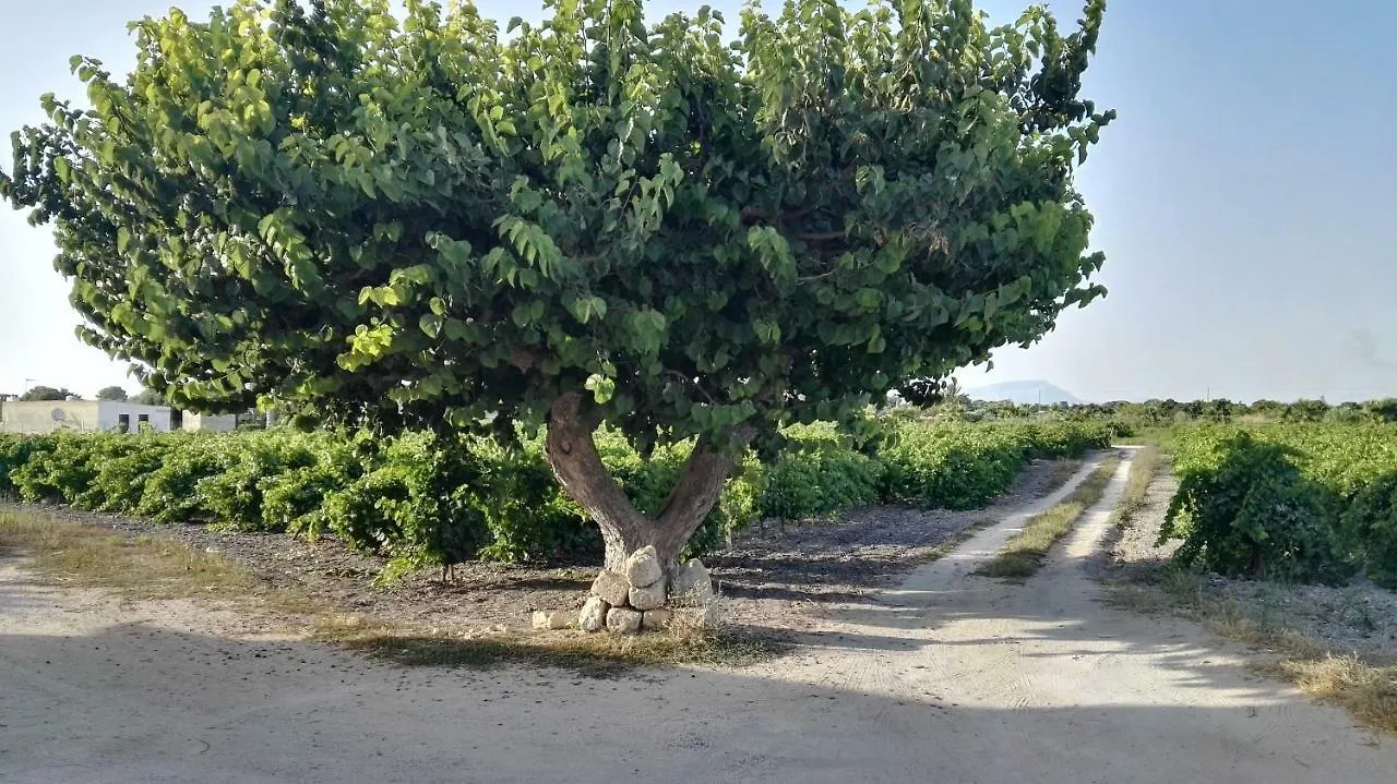 Residenza Al Gelso Apartment Marsala